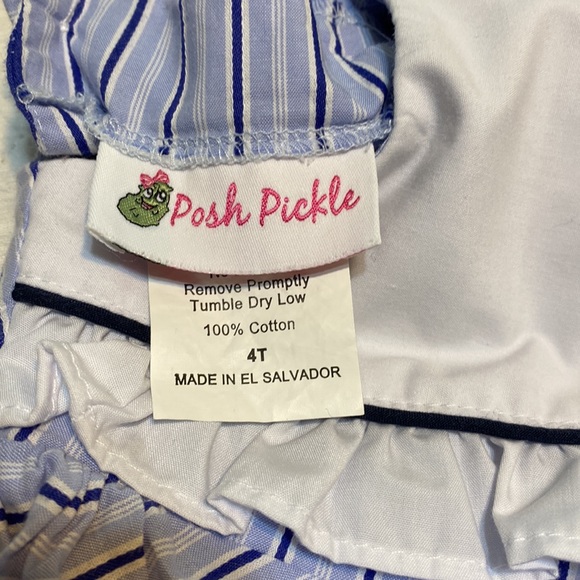 Posh Pickle Striped Dress - Picture 3 of 3